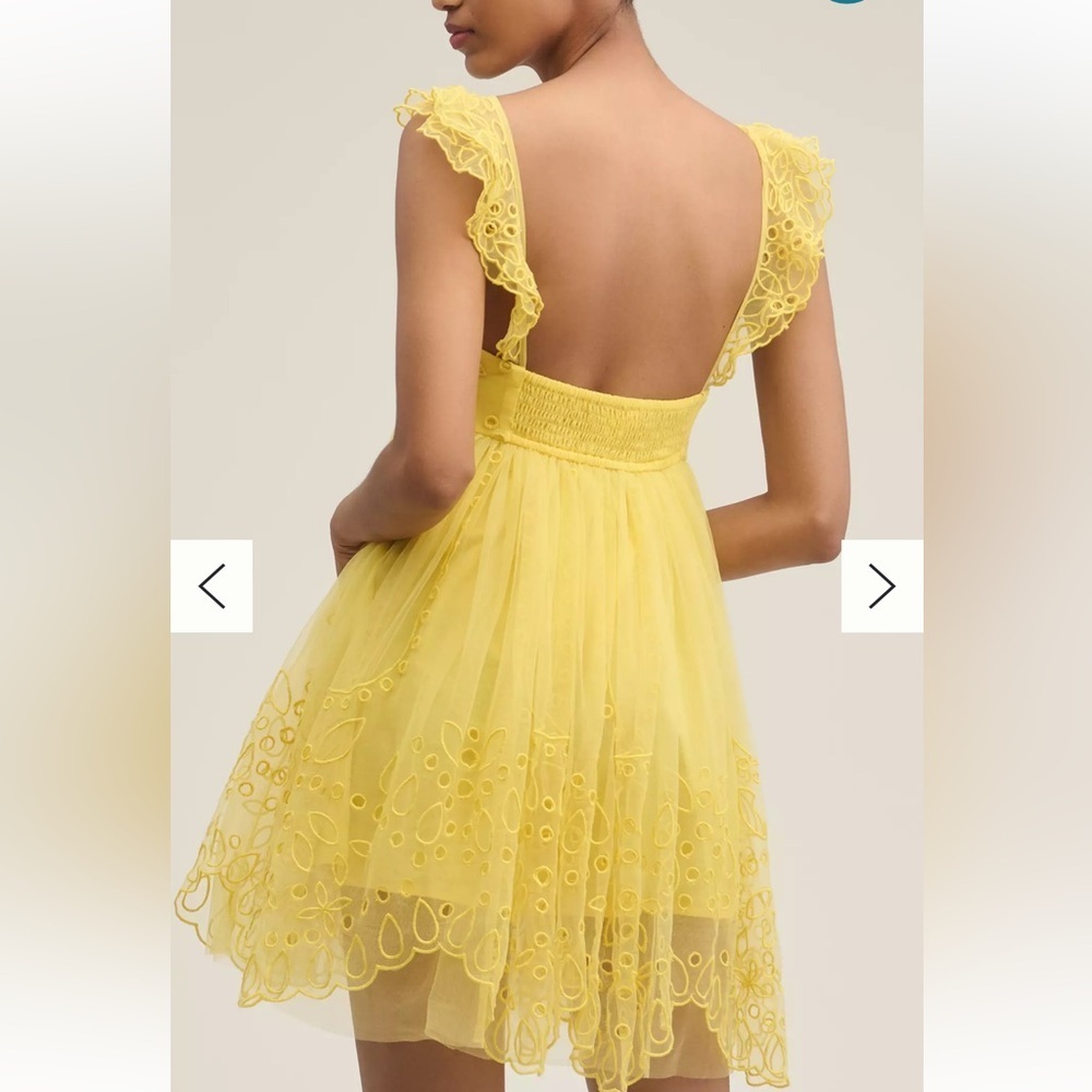 Anthropologie Let Me Be Eyelet Tulle Mini Dress - Picture 3 of 5